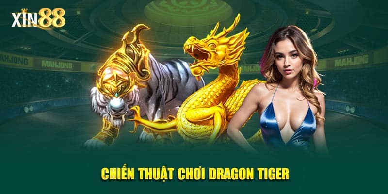 Rồng hổ 4