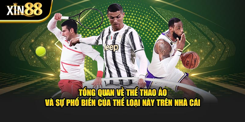 Thể thao ảo 2