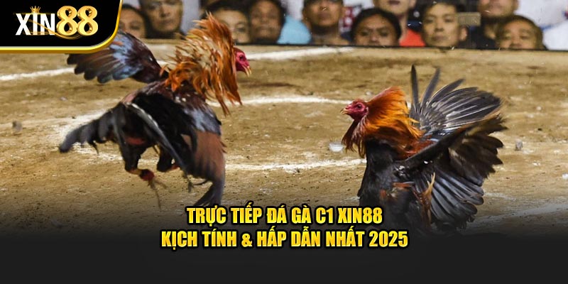 trực tiếp đá gà c1 1